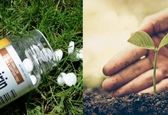 گیاهان هم به آسپیرین نیاز دارند!
