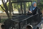 ماشین عجیب و غریب سوسن حسنی دخت گوینده خبر +عکس